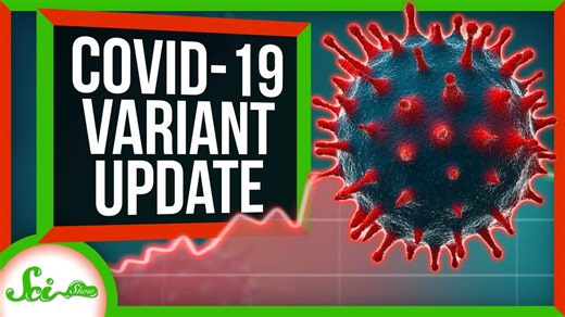We know more about those COVID-19 variants. It's not great | SciShow News