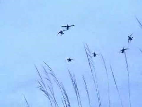 Chasse extreme aux gibier d'eau Canada eps 1