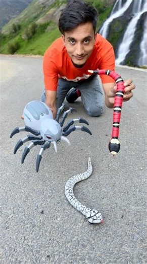 Two Remote Control Makadee vs RC Snake #rcsnake