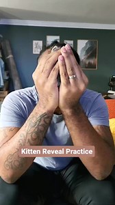 Meet Moose, our newest foster kitten! He is 2 weeks old and was found alone. He is fluffy, chunky, and great with being bottle fed every two hours. We're hoping to find some friends for him soon; in the meantime, he's enjoying bossing me around and wobbling from his bottle to his bed. | Fostering kittens