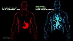 Watch MuscleTech Clear Muscle, Advanced Muscle and Strength Building Formula on Amazon Live