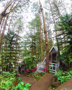 Baguio feels at Highway 81❄️🌲 📍Brgy. Salumay, Marilog District, Davao City | Travalexis