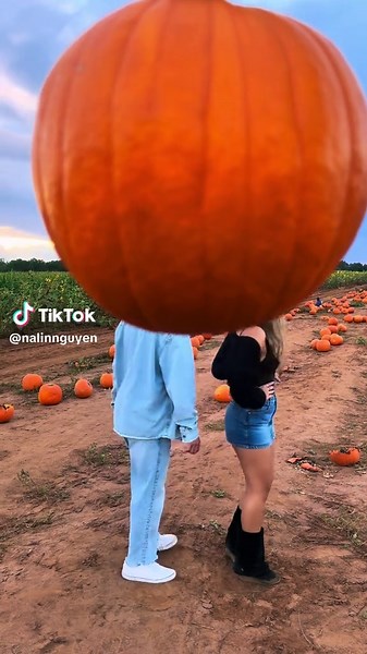 Discover the Best Pumpkin Patch Experiences This October