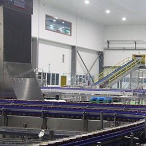 [Hot Item] Mushroom Making Machine /Food Machine