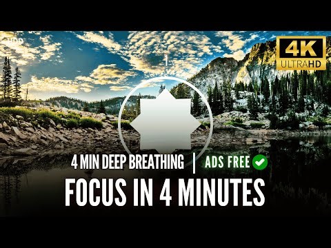 4 Minute Guided Breathing for Focus | 4 Minutes | Technique With Counter Timer