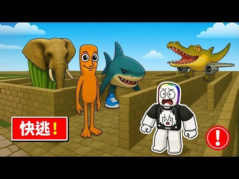 布萊恩羅斯迷宮，超多義大利迷因怪物藏在這裡！？ 😲 🙉 🙀【Roblox 機器磚塊】