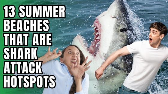 13 Summer beaches that are shark attack hotspots