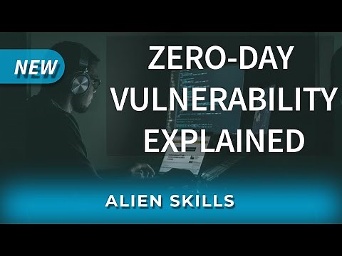 Zero Day Vulnerabilities Explained - Alien Skills
