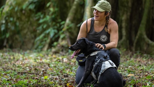 How This Sloth Poop-Sniffing Dog is Saving the Species | Nature