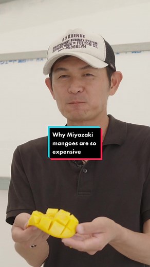 Japanese Miyazaki Mangoes: The Exquisite Luxury Fruit