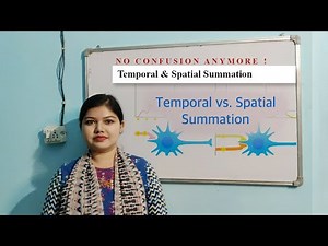 Temporal Summation and Spatial Summation