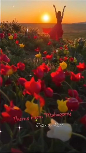 Theme From Mahogany:DIANA ROSS//#shorts #short #song #music #マホガニーのテーマ #oldies #名曲 #dianaross #洋楽