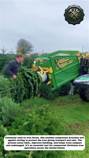 Fast & Efficient Christmas Tree Baling Machine | Tree Wrapping Process‎