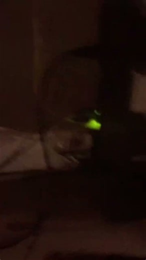 My Crappy PC💻🗑️#pc #computer #vm #virtualmachine #meme #shorts #memes #funny #windows #fypシ #viral