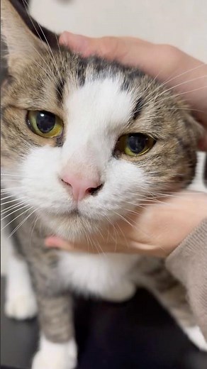 私のエプロンの上に・・・