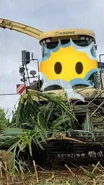 Sieczkarnia Krone na polu 129