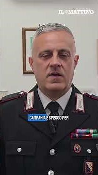 Drug and Weapons Search: Luna and Ave Are the Dogs Most Feared by Drug Dealers and Camorra Members