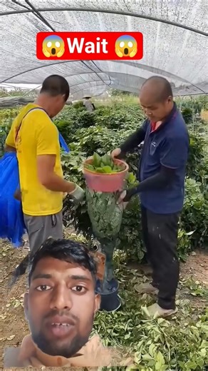 🔥🔥#TIMELAPSE: START to FINISH Alone BUILD LOG Cabin(Wooden House) How To Build Wooden Cabin Surviva🎉