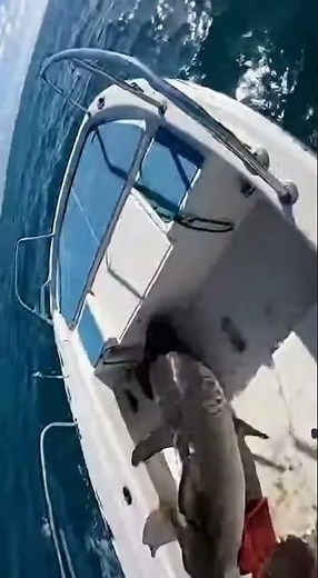 A SHARK Just Jumped Into My Boat… And I Got It on Camera 😳🦈