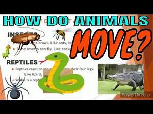 Movement of animals# class 3 Science