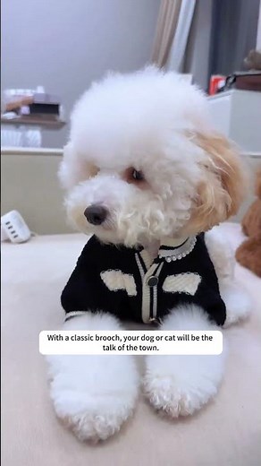 🎄 Dress your pet in style with our luxury dog sweater!