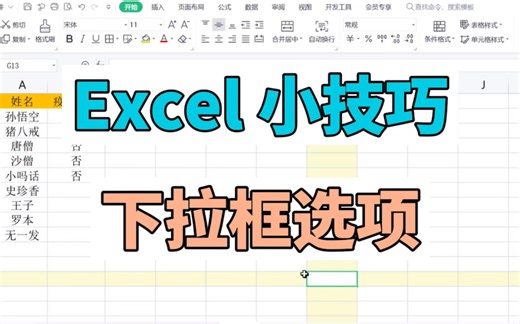Excel 小技巧 下拉框选项怎么弄