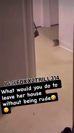 Maurice Green on Instagram: "She know dead ass wrong for having that man come over house and she had shit like this going on 🤢🤢🤢🤮🤮🤮 #viral #fyp #trending #viralreels #reels Would he rude for leaving and never ever talking to her again ??"