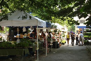 Fort Greene, Brooklyn: The Ultimate Neighborhood Guide to Fort Green, Brooklyn