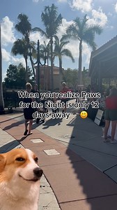 1K views · 11 reactions | Counting down... just 12 days until our fun-filled night event!  Get ready for an evening of live music, food, and a pet contest! Don't forget to bring your furry friends for a "pawtriotic" time! Gulf Coast Humane Society  #SWFL #PawsfortheNight #Estero #GulfCoastHumanSociety #FortMyers #CoconutPoint | Coconut Point | Facebook