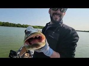 Musky Fishing Lake Hudson Recreation Area in Southern Michigan