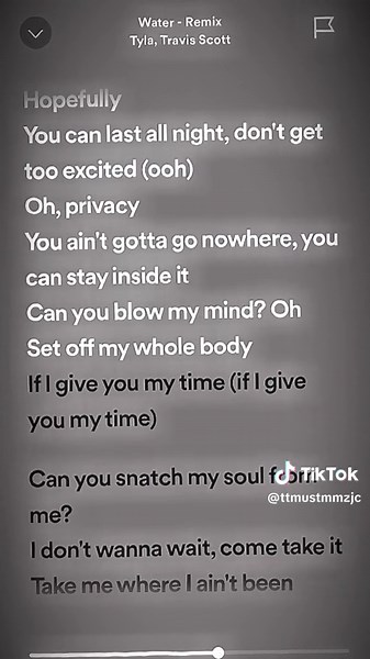 Water Remix - Tyla & Travis Scott