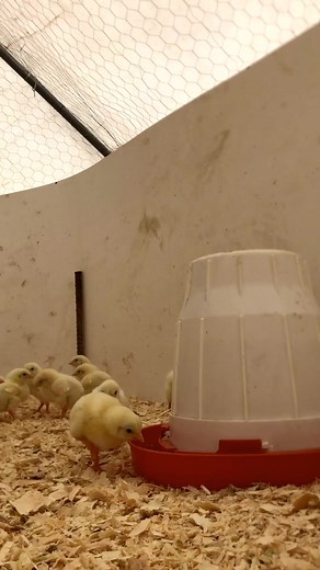 3.9K views · 66 reactions | For the first time in many years, we have...