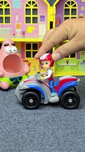 Relaxing Paw Patrol Toys ASMR Video