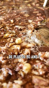 90K views · 924 reactions | La soupe fait vraiment grandir ?! 邏 | Poisson Fécond | Facebook