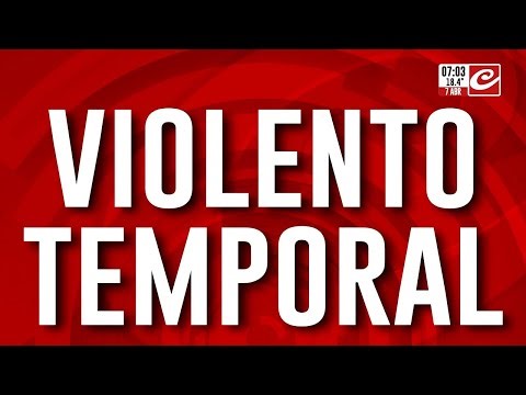 Violento temporal en Buenos Aires: arrancó un árbol en Palermo