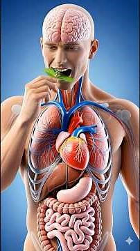 What Happens When You Eat Mints everyday? #facts #science #food #healthyfood #education