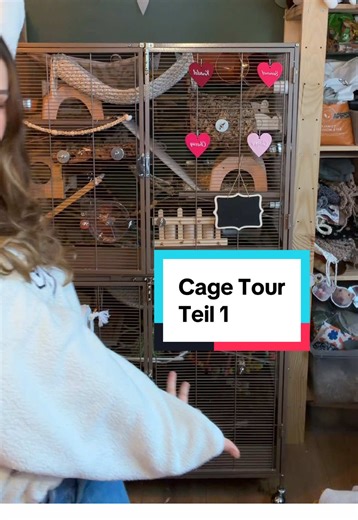 Was gehört in so einen artgerechten Rattenkäfig rein? Welche Triebe muss ich unterstützen? Was sind Gefahren die ich umgehen muss? Finde es heraus! Natürlich muss nicht jeder Käfig beige eingerichtet sein und wunderschön aussehen. Wichtig ist, dass alle Triebe ausgelebt werden können und er sicher ist! Hast du noch weitere Fragen zu dem Thema? #rattenkäfig #petrat #rattenhaltung #käfigtour #cagetour