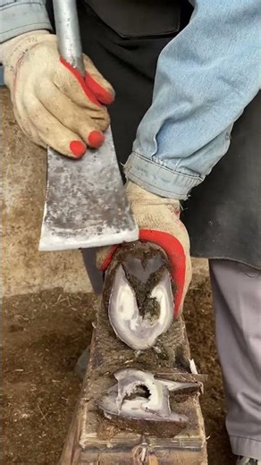 ASMR：Too laborious! The panting old man helps the donkey to care for the hoo#Shorts