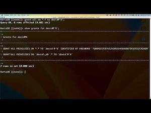 How to Install & Configure Remote Access to MySQL in Docker using MariaDB