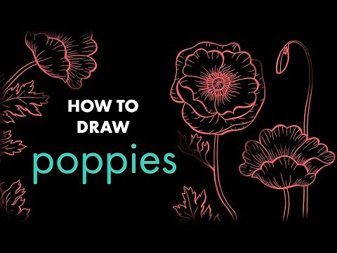 How to Draw Poppy Flowers Using Just a Pen and Pencil!