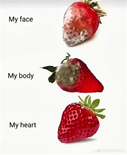 [ CẢ NHÀ CHÚC NAM THI TỐT NHÉ ] 🫶🏻🫶🏻 Ở Kent Academy các em sẽ luôn nhận được sự quan tâm của không chỉ các Coach mà còn từ các bạn khác. Chính vì thế mà mọi người đều rất phấn khởi khi chúng ta có 1 thí sinh cho bài IELTS TEST lần này 🦾🦾 Chúc Nam VƯỢT AIM nhé 🗣️🗣️ #KENTACADEMY #IELTSCOACH #IELTS