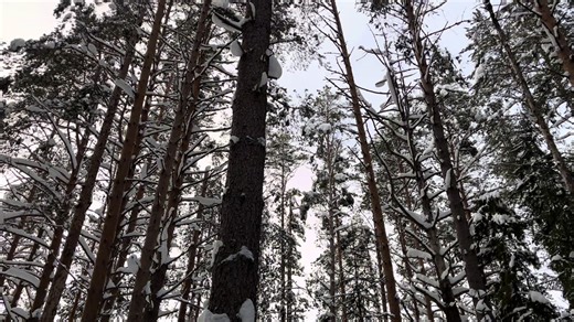 #atmosfera #real #communityreal