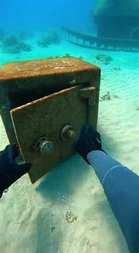 Deep Sea Discovery: An Underwater POV Adventure