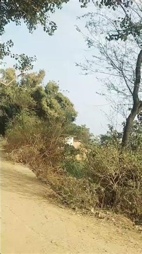 #haryanvisong #voicelive