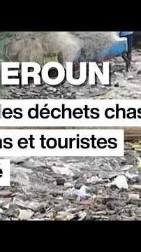 Cameroun : la plage de Down Beach à Limbé se meurt sous le poids des déchets • FRANCE 24