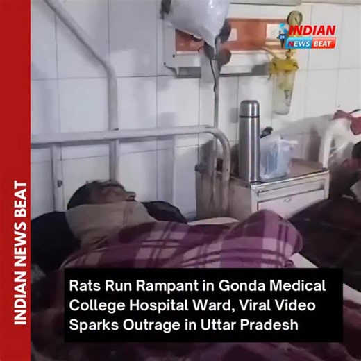 INDIAN NEWS BEAT on Instagram: "A chilling video from the Orthopaedics Ward of Gonda Medical College and Hospital in Uttar Pradesh has sent shockwaves across social media, exposing a severe and long-ignored sanitation crisis inside a government-run medical facility. Shot inside the ward of the prestigious Babu Ishwar Sharan Chikitsalaya-affiliated institution, the footage shows several large rats moving fearlessly across metal oxygen pipelines, climbing bed frames, scurrying over mattresses, and