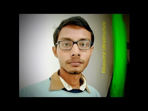 Ribosome Ultrastructure for Neet Biology #viral #amazing 