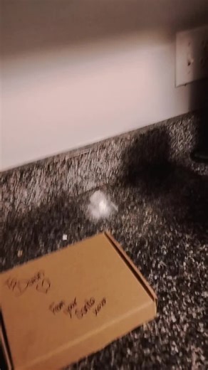 Dawn Clark (@dawneclark26)’s videos with original sound - Dawn Clark