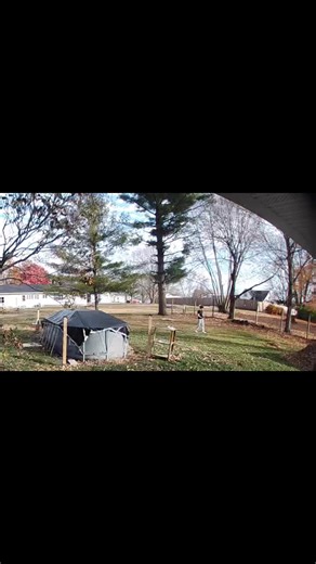 I’m pretty sure he only helped me with the leaves so he could jump in them at the end  17.5 years old and still a kid at heart 凉 | Dee’s Notes: Editing Services | Facebook