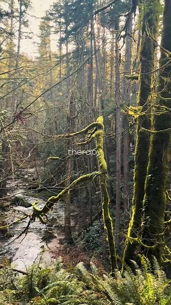 Exploring Whatcom Falls Park: A Serenity Escape in Bellingham, WA